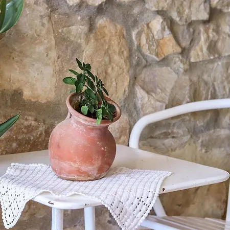 Guincho Garden By Homing Apartment Aldeia de Juzo