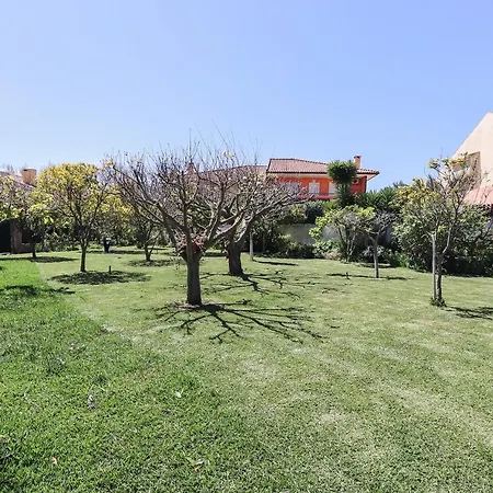Guincho Garden By Homing * Aldeia de Juzo
