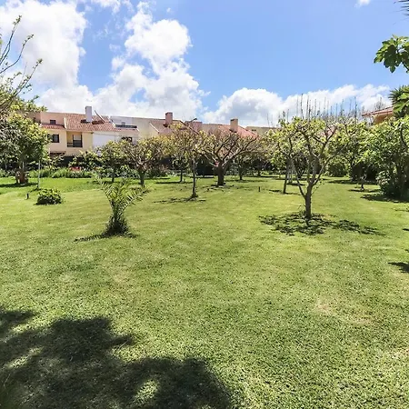Guincho Garden By Homing * Aldeia de Juzo