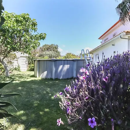 Guincho Garden By Homing * Aldeia de Juzo