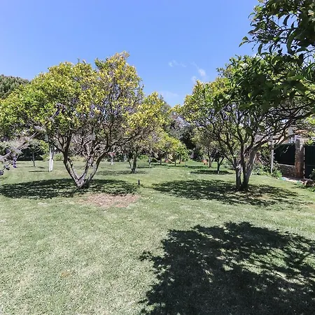 Guincho Garden By Homing Apartment *