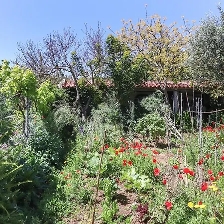 Guincho Garden By Homing Apartment Aldeia de Juzo