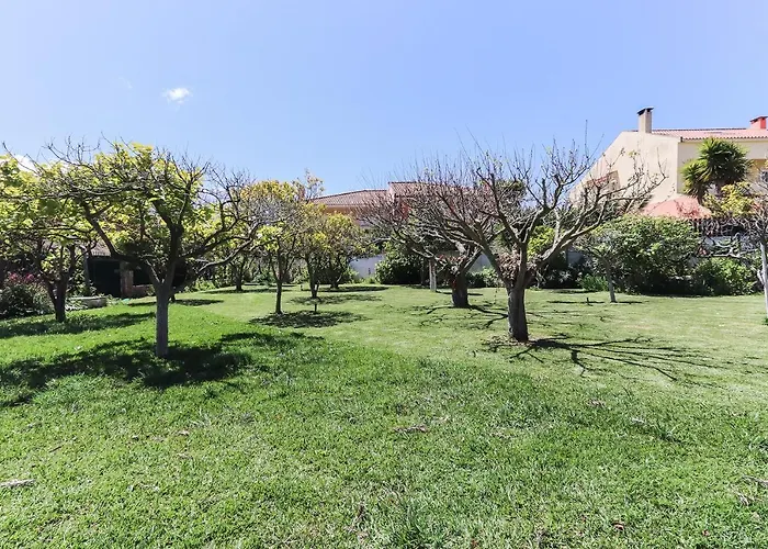 Lejlighed Guincho Garden By Homing Aldeia de Juzo